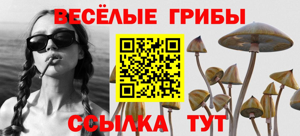 Галлюциногенные грибы мицелий  Вход с VPN  Зеленокумск 